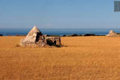 Il parco dei trulli, scenario da cartolina che rischia di trasformarsi per sempre